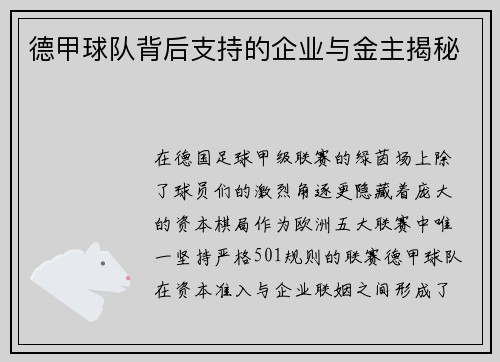 德甲球队背后支持的企业与金主揭秘